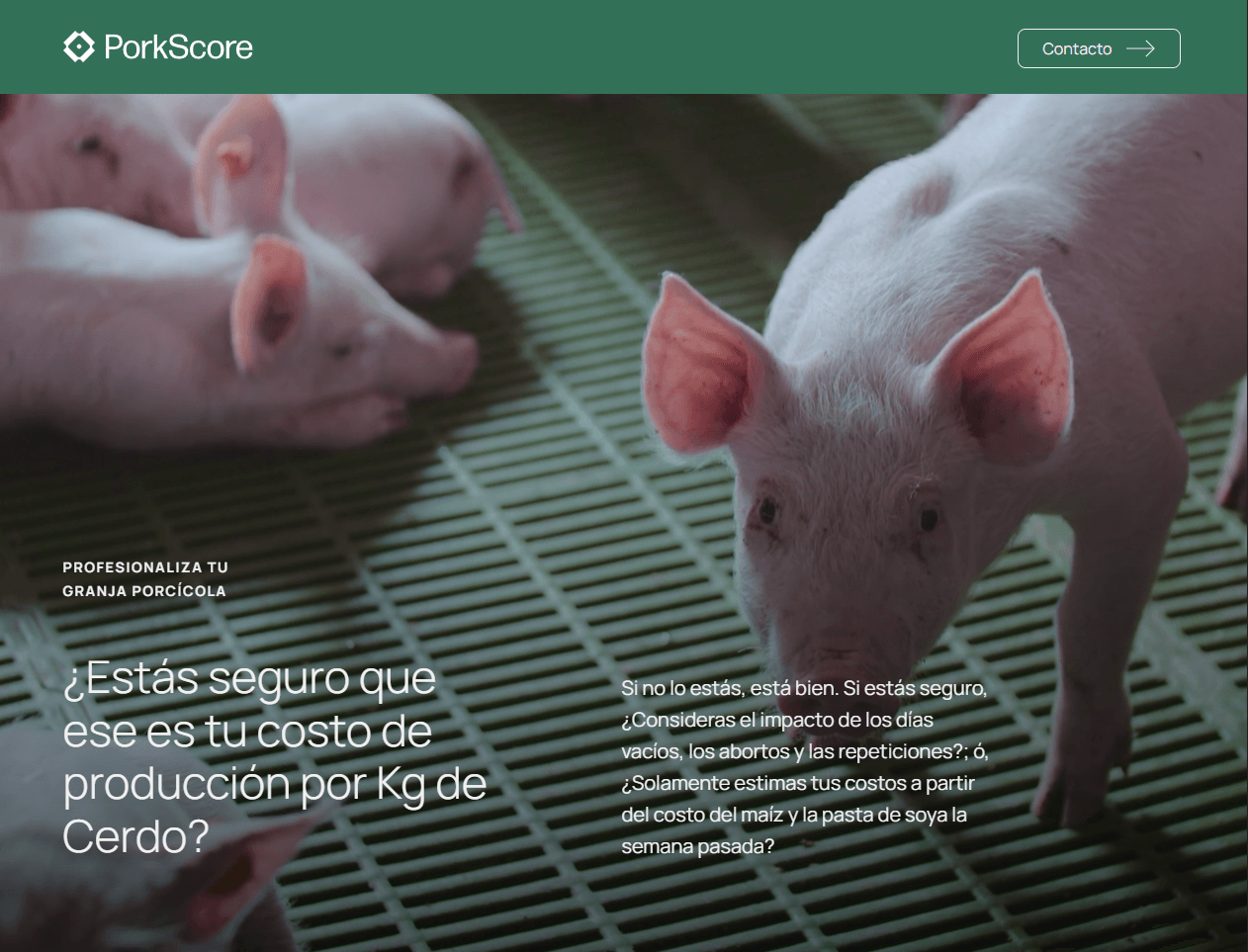 PorkScore